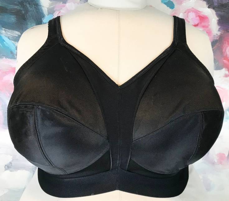 The Secret to Shedding Back Fat in Record Time Bra-Back-Fat-281
