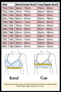 What exercises should I do daily to lose weight?