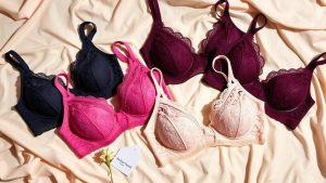 5 Best Low Price Plus Size Bras for Any Budget
